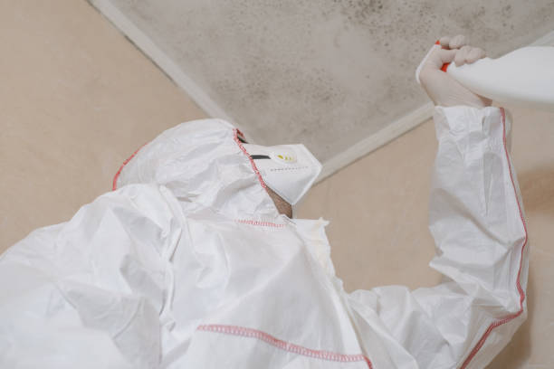 Mold Testing and Removal in Weddington, NC
